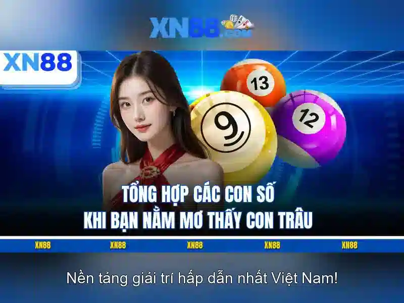 Khuyến mãi và chương trình thưởng