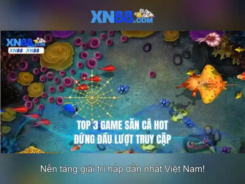 An toàn và trách nhiệm người chơi