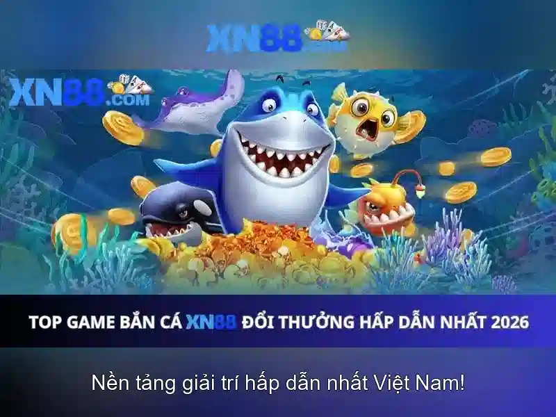 Giao diện và trải nghiệm người dùng