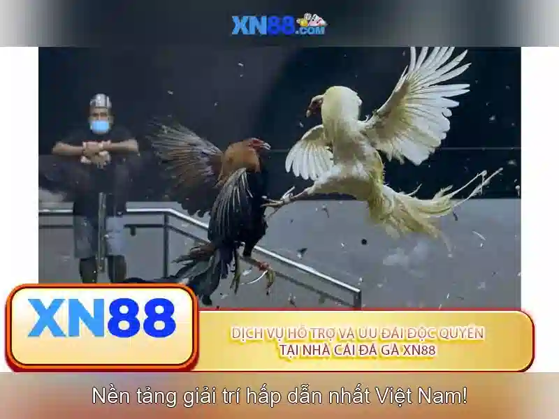 Tương lai của xn88 và xu hướng thị trường