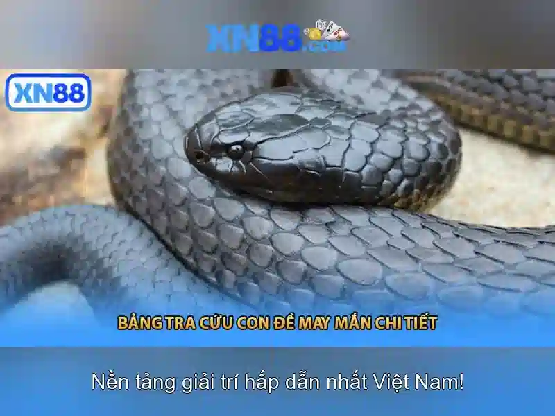 Giao diện nhà cái hoàn hảo