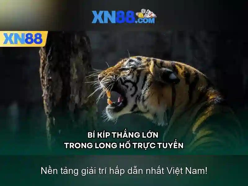 Khuôn khổ và pháp lý